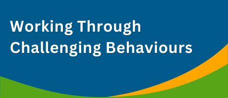 Title page for webinar three