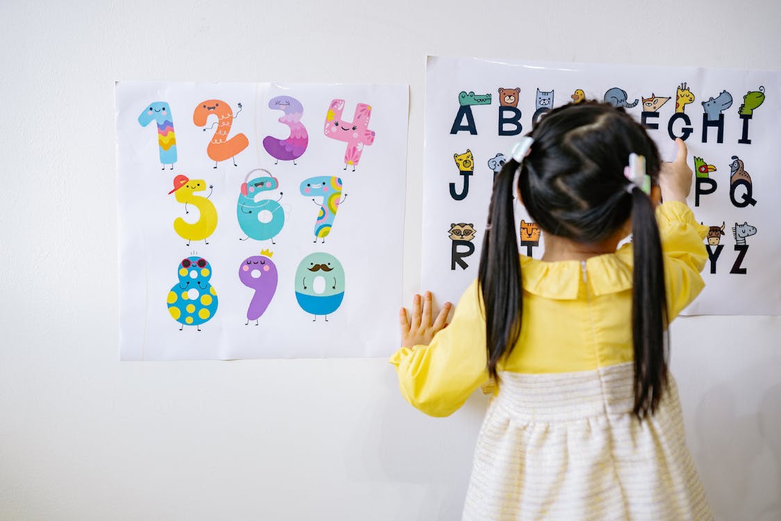 A preschool age child explores number and letter posters on the wall