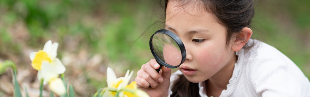 A child examines a flower outside using a magnifying glass